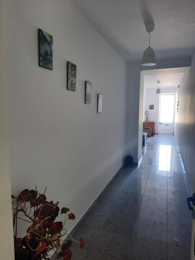 Casa Araci Hotel Vieira do Minho Kültér fotó